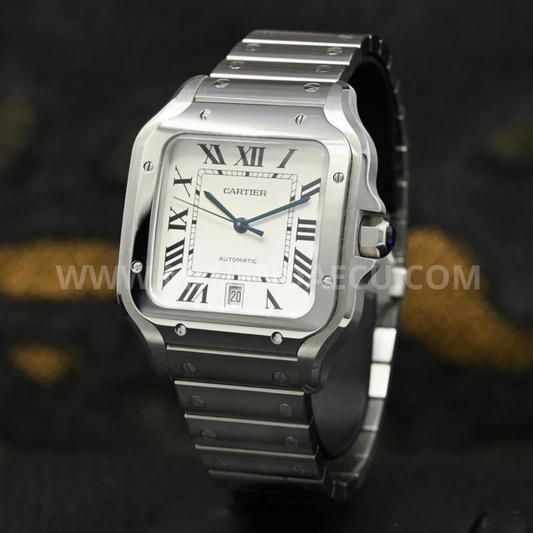 CARTIER SANTOS 100 | VINTAGE SILVER